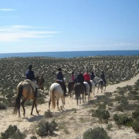 Pe Na Areia, By Algarveblossom Daire Armação de Pêra