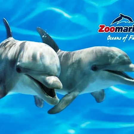 Pe Na Areia, By Algarveblossom Daire *